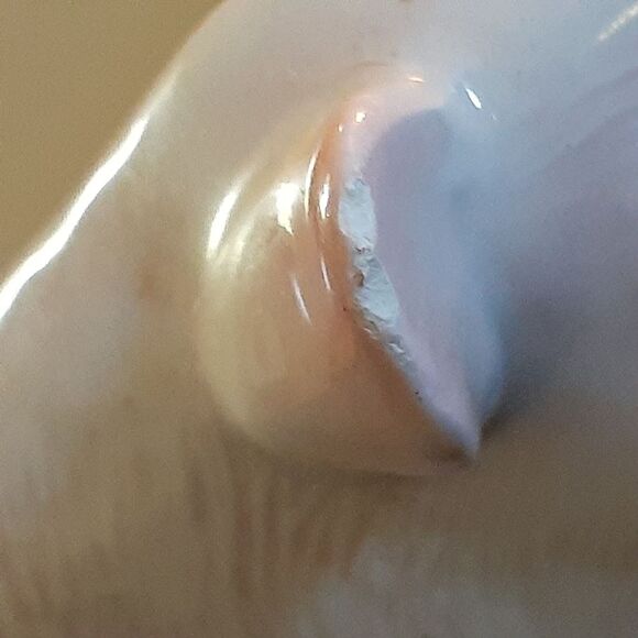 Otagiri Ceramic Pig & Piglets Napkin Holder vintage pink - Picture 8 of 8